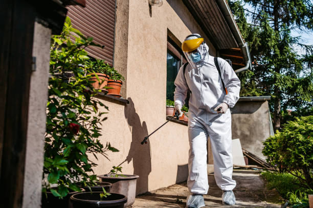 Best Mosquito Control Services  in Mountain Lake, MN
