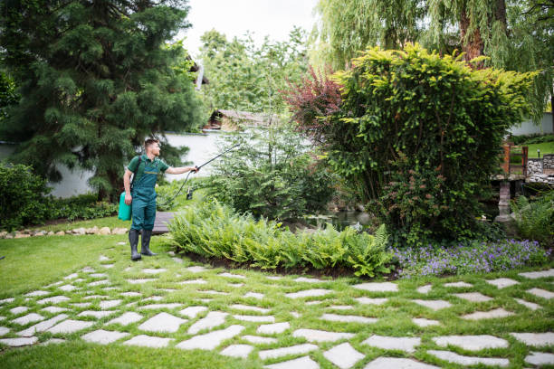 Best Local Pest Control Services  in Mountain Lake, MN